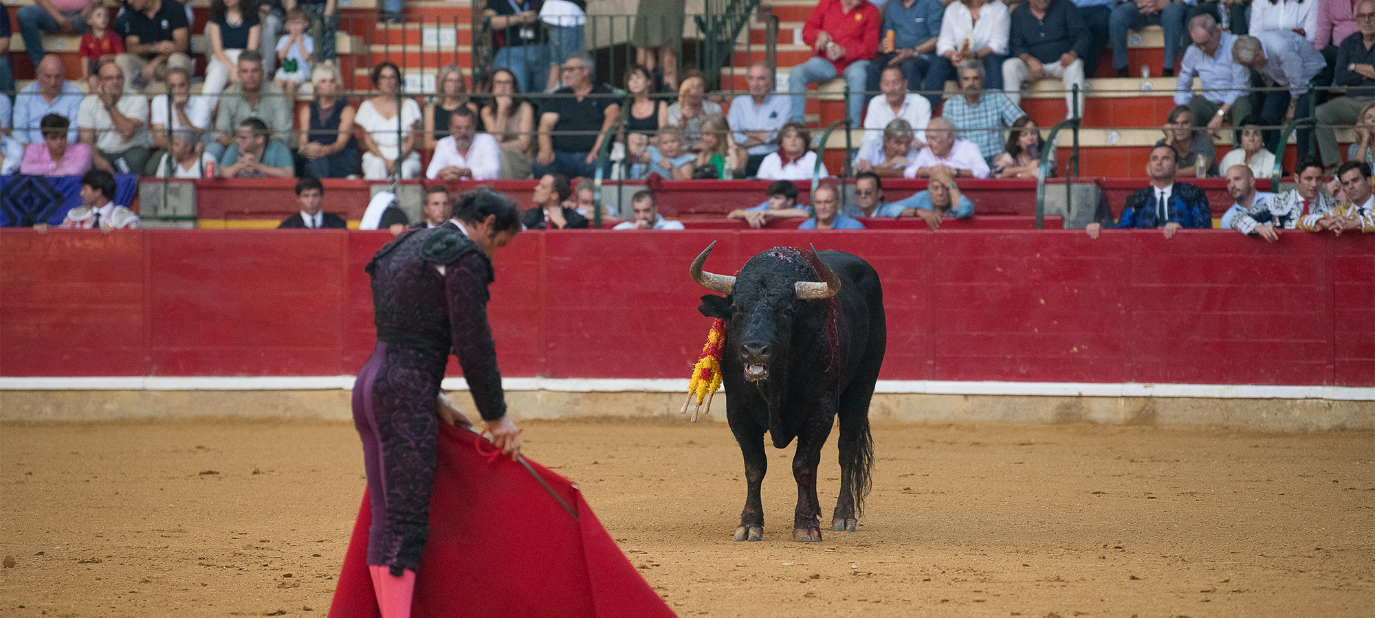 zaragoza-2023-cas-en-animanaturalis.jpg