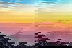 Herzie juridische voorwaarden voor WildHub platform