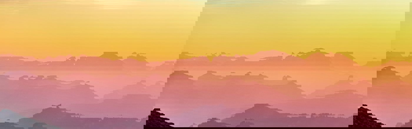 Juridische Herziening Terms of Use stichting WildHub