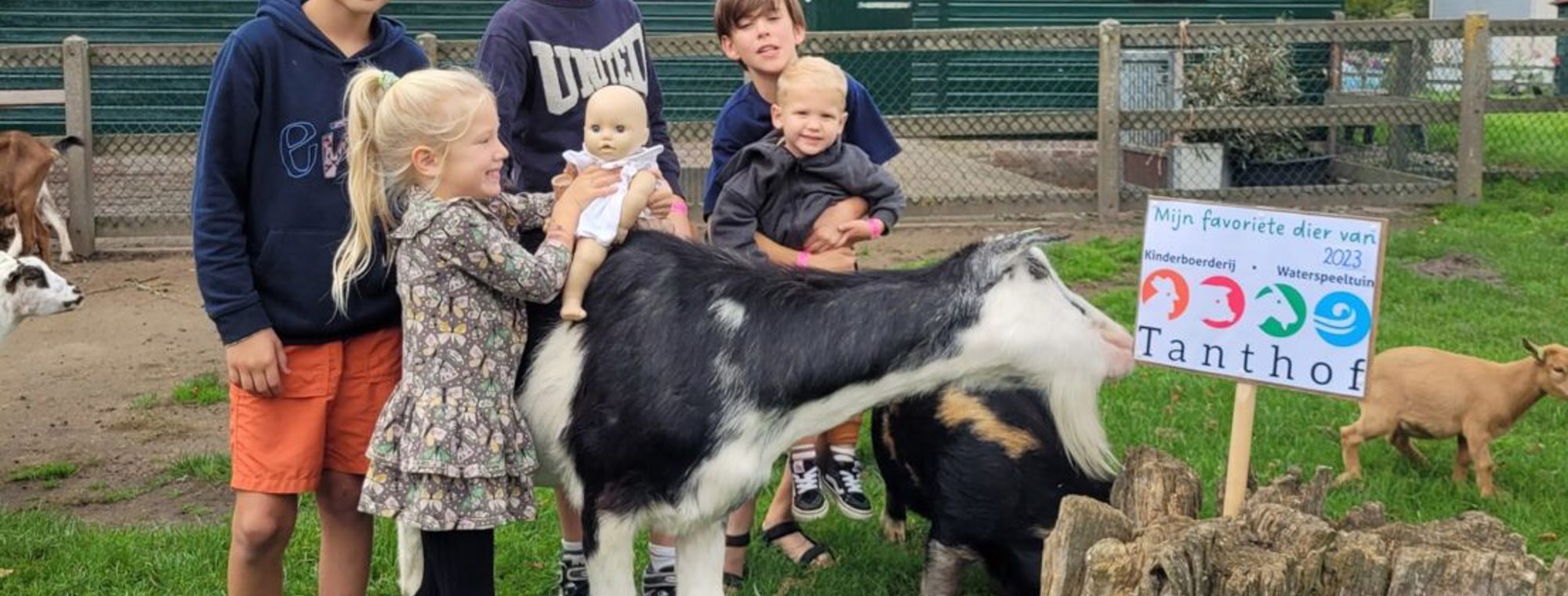 Stichting Kinderboerderij en Waterspeeltuin Tanthof-photo