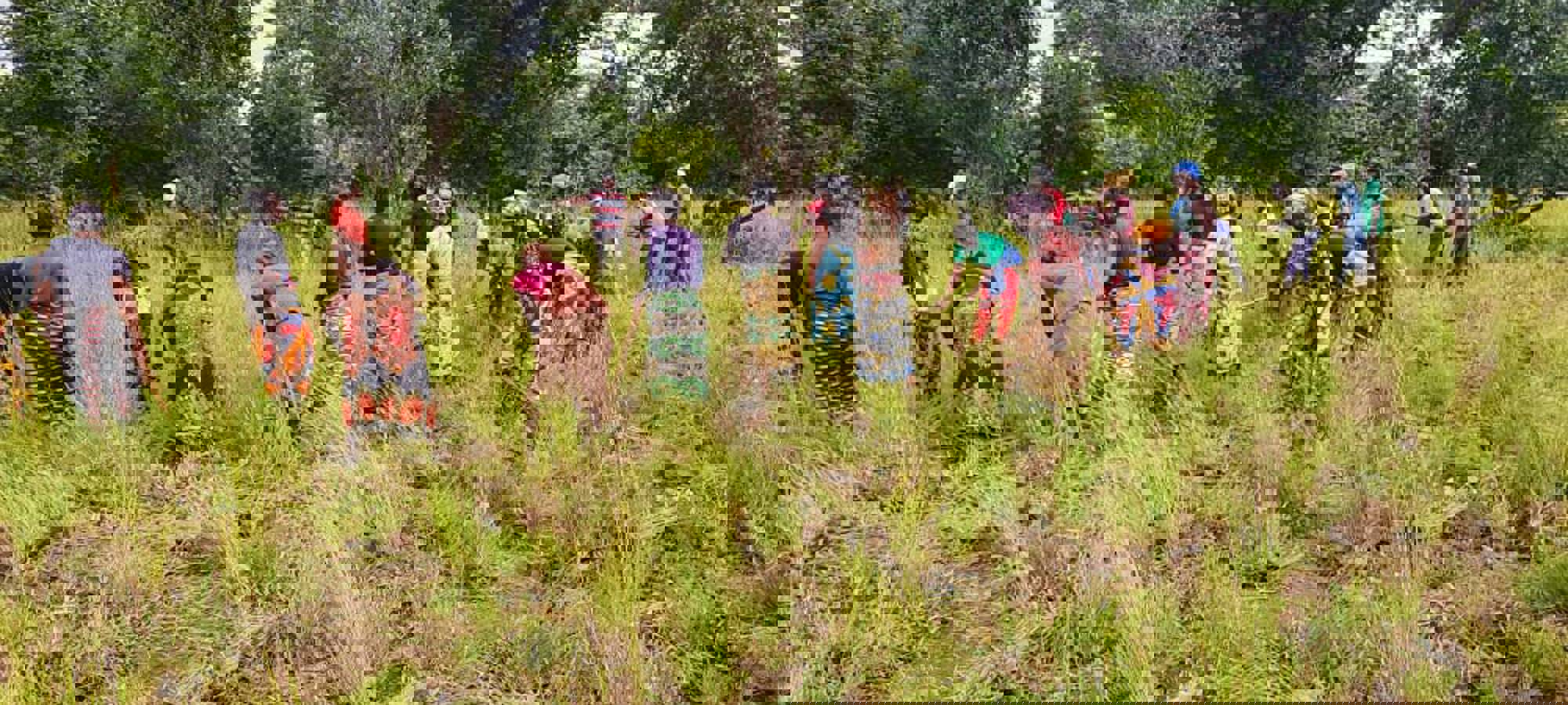 c8248a31-2e81-4c73-9176-bf2639f9eef4