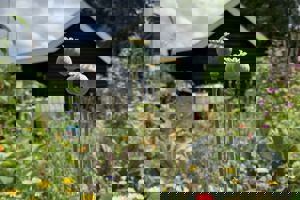 Jaarlijkse contentkalender voor bodemherstel