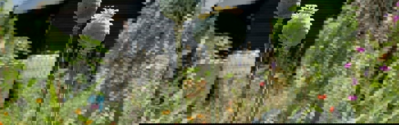 Jaarlijkse contentkalender voor bodemherstel