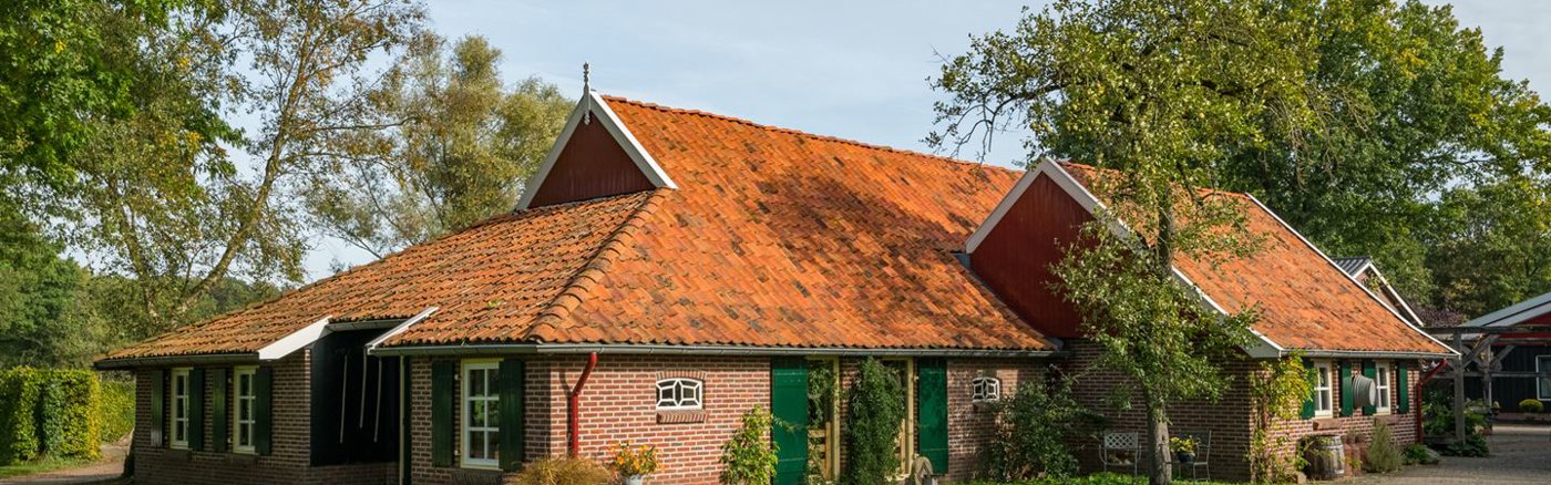 Maak 5 korte video's voor World Peace Stupa Center