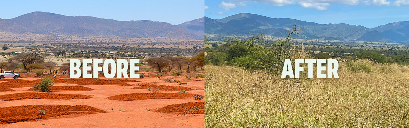 Online Marketing Coach