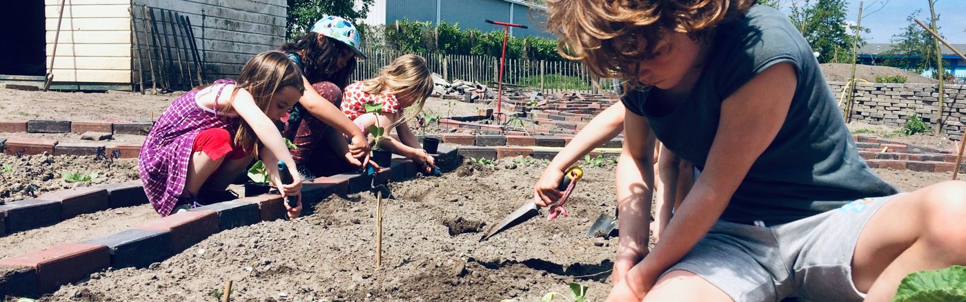 Business model strategie sessies