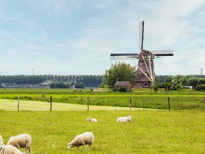 Vrijwilligerswerk in  Wageningen