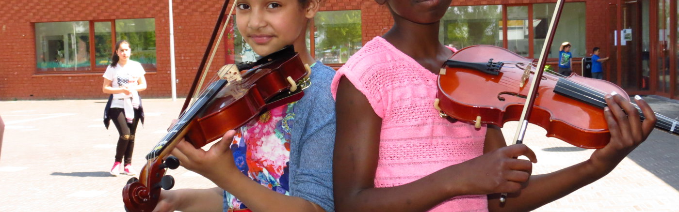 Wordpress website design update