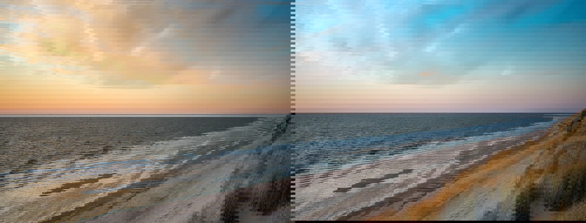 Jan Willem Van Braak B8QNAL5P0E Unsplash
