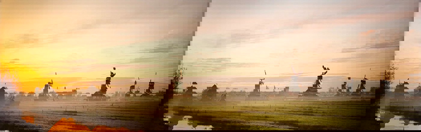 Ondersteuning bij onderzoek