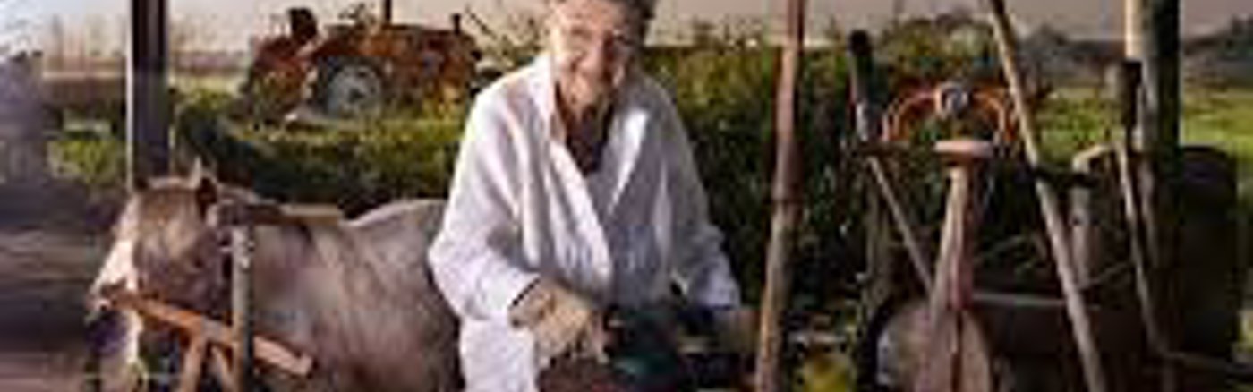 Strategisch advies over Marketing