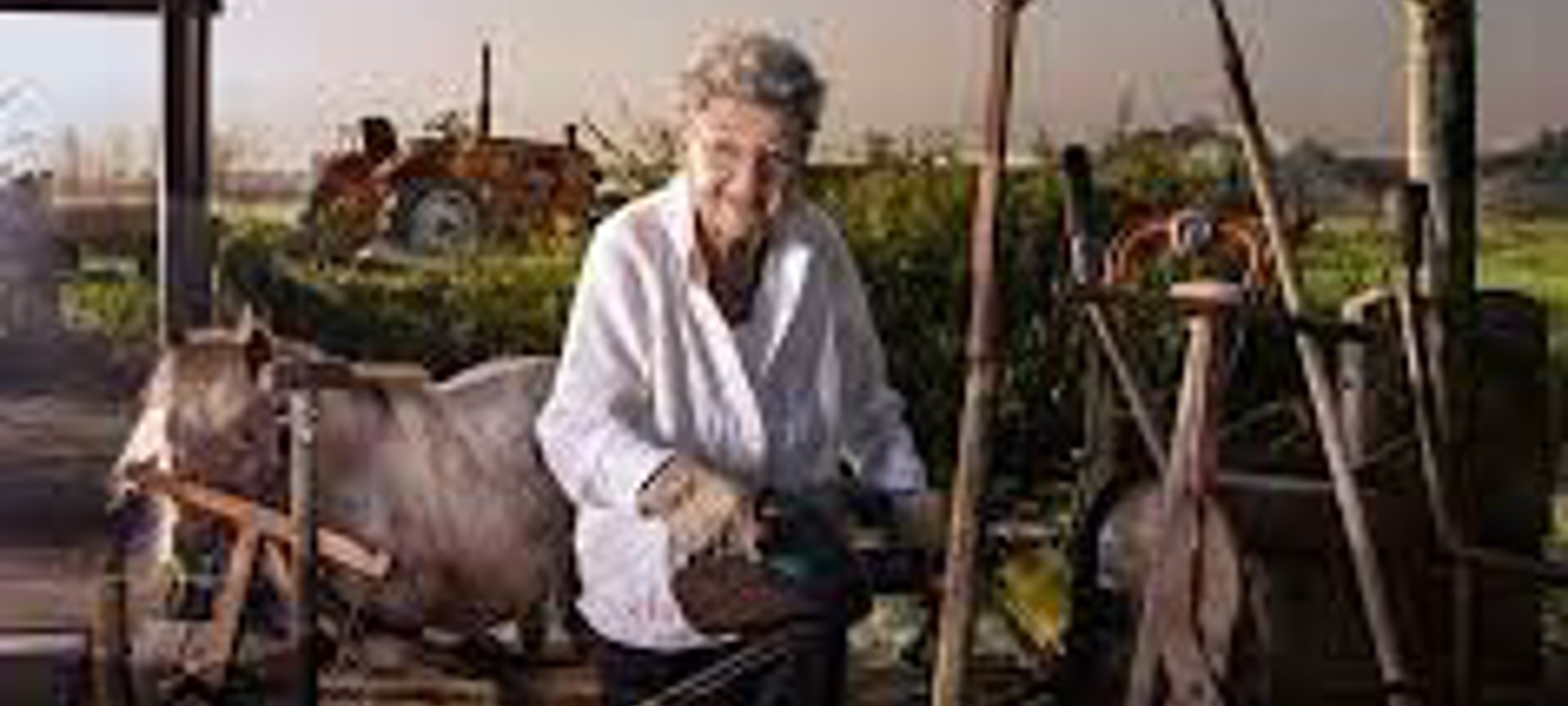 Stichting RCOAK-photo