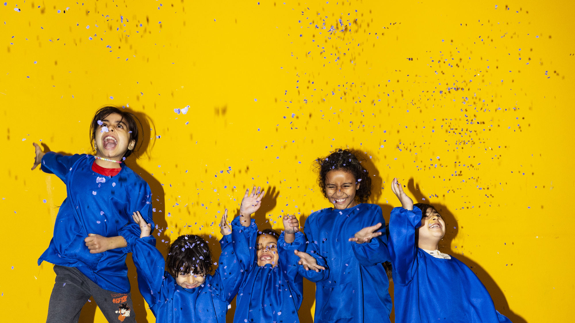 Stichting de Vrolijkheid 