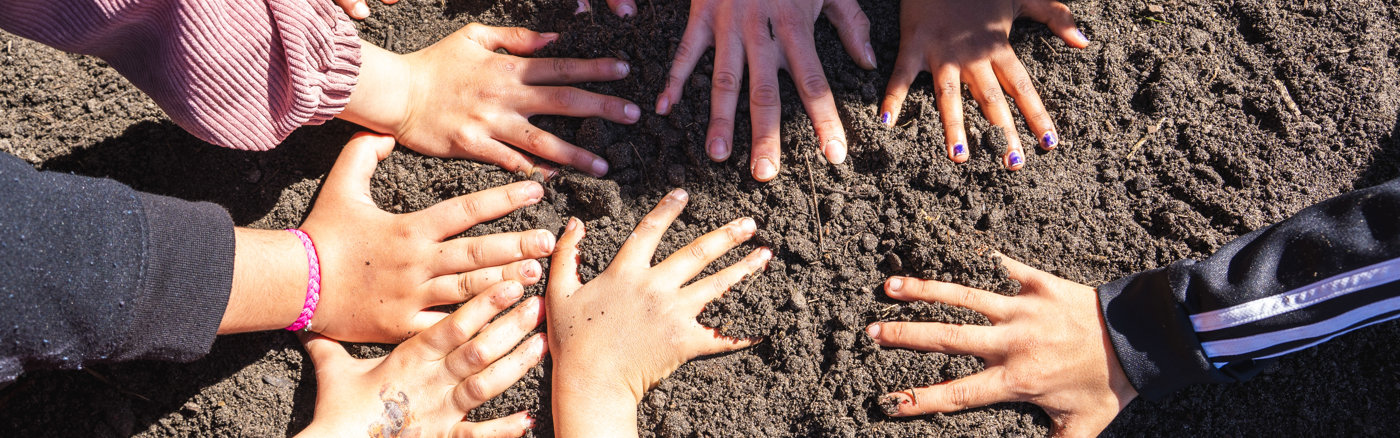Contentkalender voor Instagram en LinkedIn