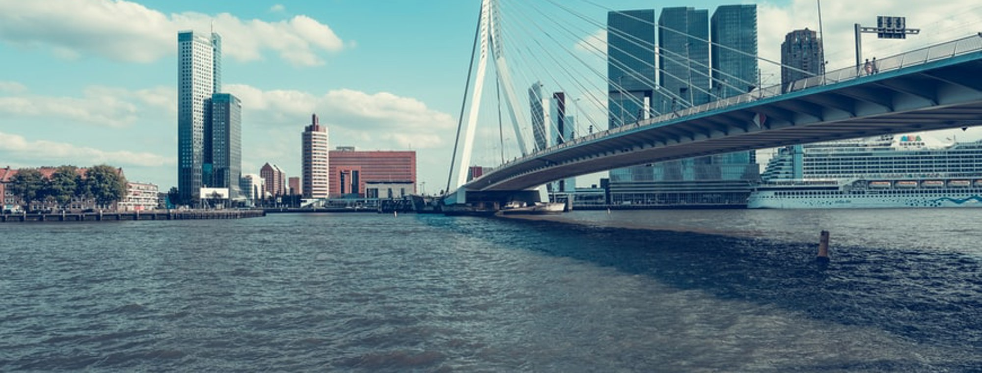 Rotterdam (1)
