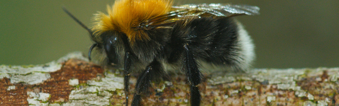 Technische ondersteuning voor Adobe Lightroom