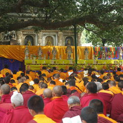 Wereldvredesceremonie in India