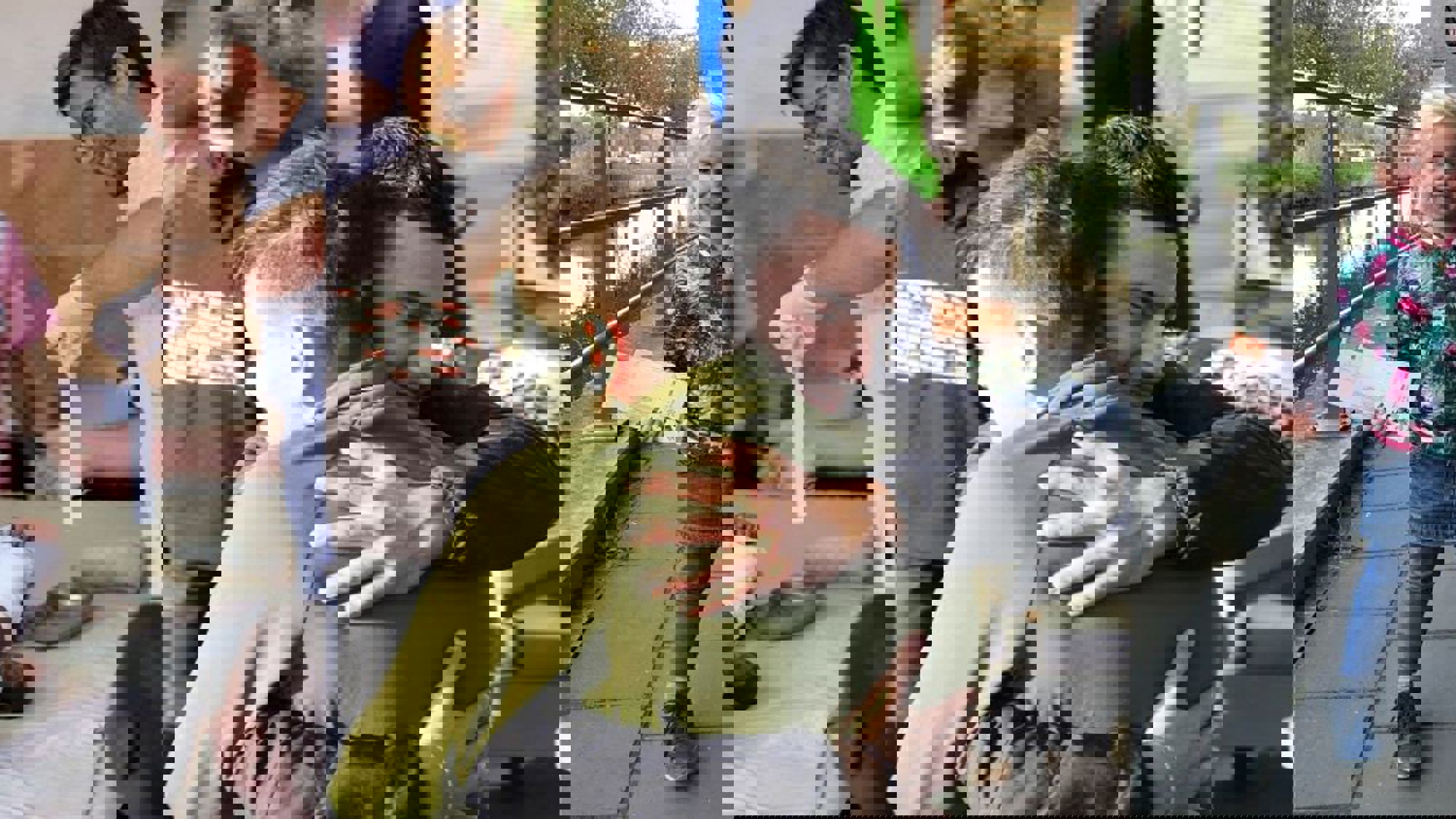 Nederlandse Brandwonden Stichting